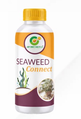 Seaweed Connect